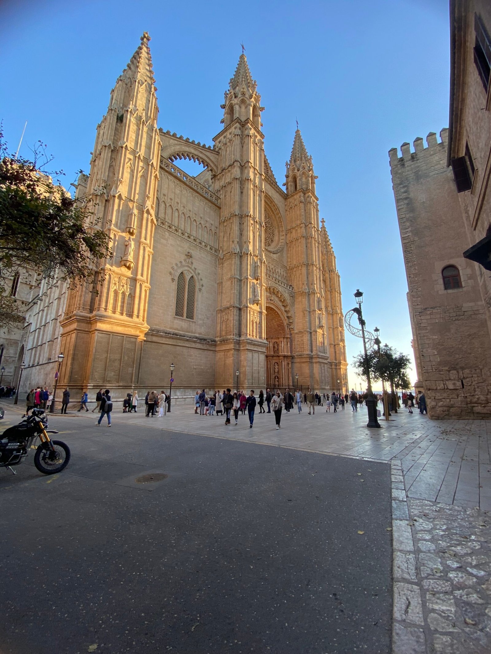 Catedral-Basilica de Santa Maria de Mallorca, Palma, Balearic Islands, Spain - eco friendly family travel tips