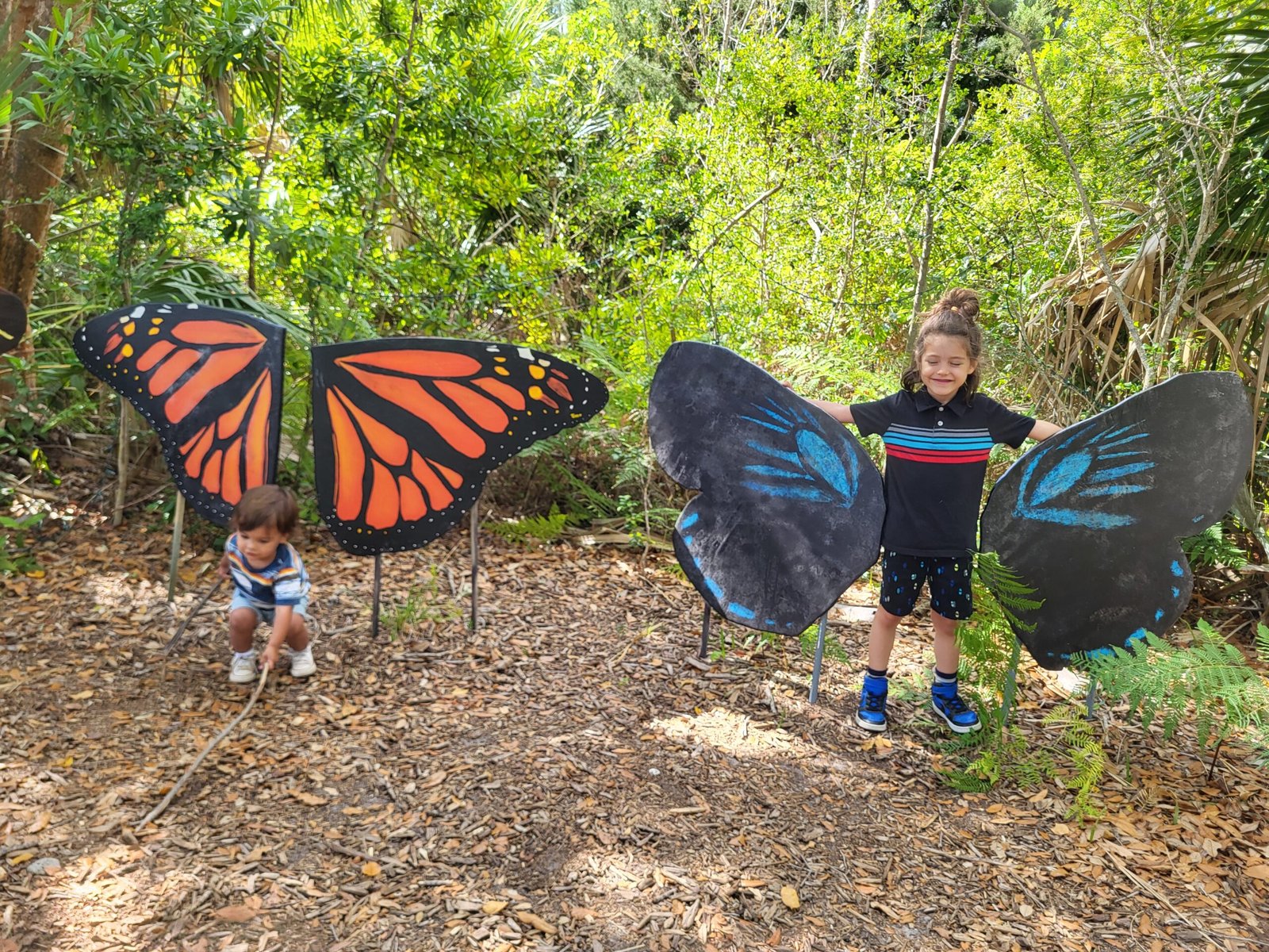 Butterfly Wings at Environmental Learning Center - Things to do in Vero Beach with Kids