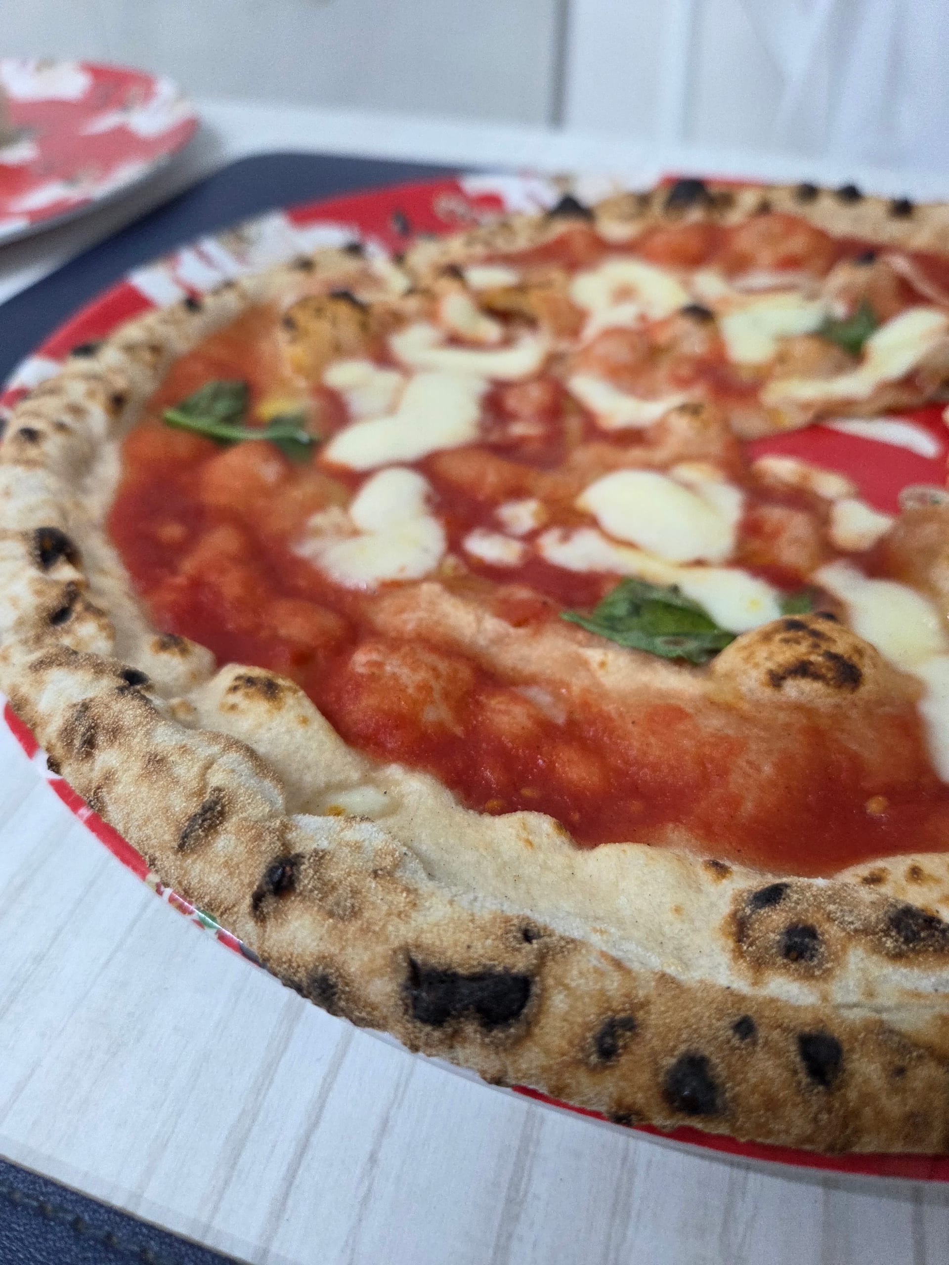 A finished margherita pizza with a blistered, leopard-spotted crust on a red and white plate