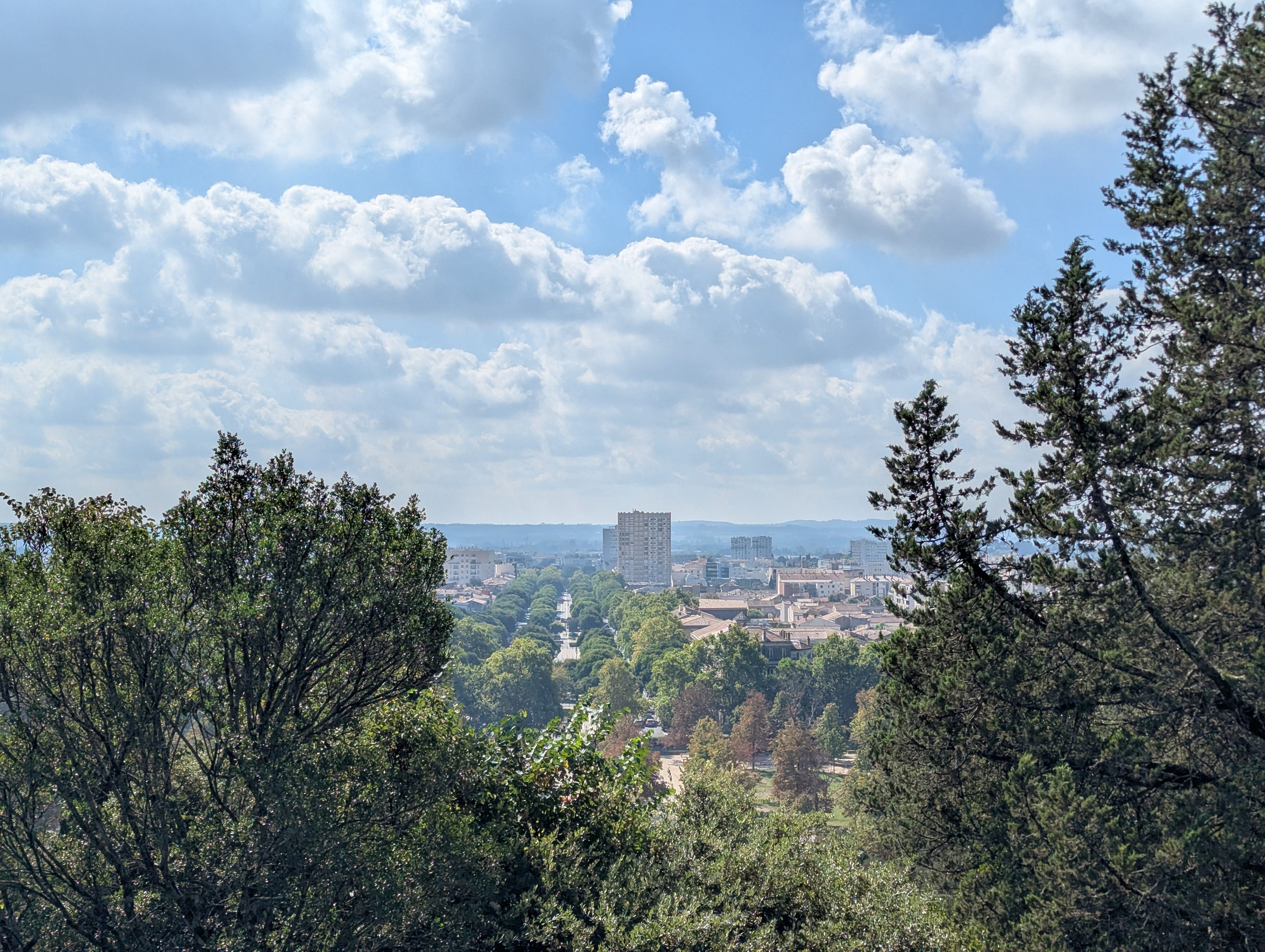 A view from the wooded hillside of the Jardins de la Fontaine looking out through pine and plane trees to a tree-lined avenue and the buildings of Nîmes below