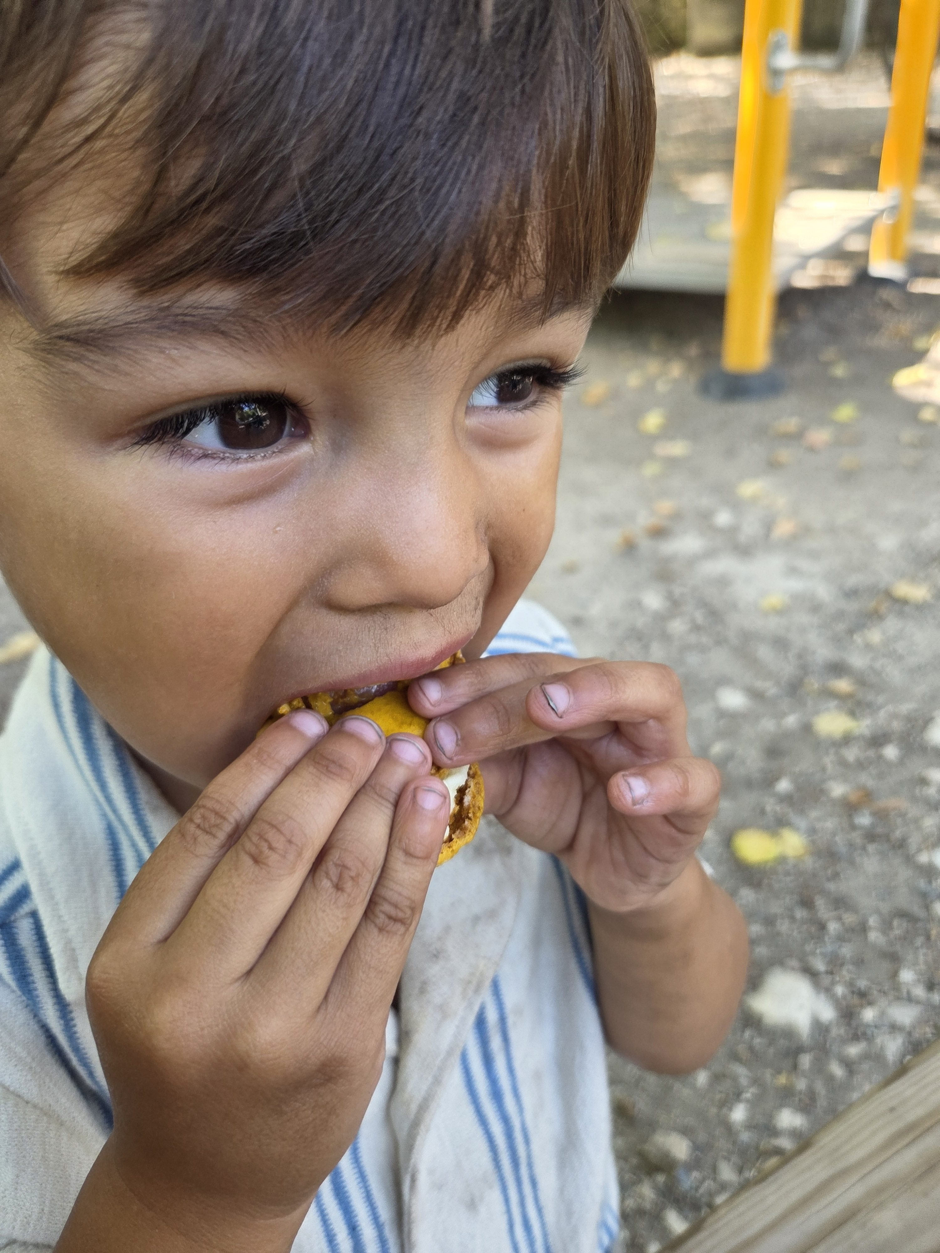 Arlo taking a big bite of a yellow macaron with both hands, a yellow playground structure and gravel behind him