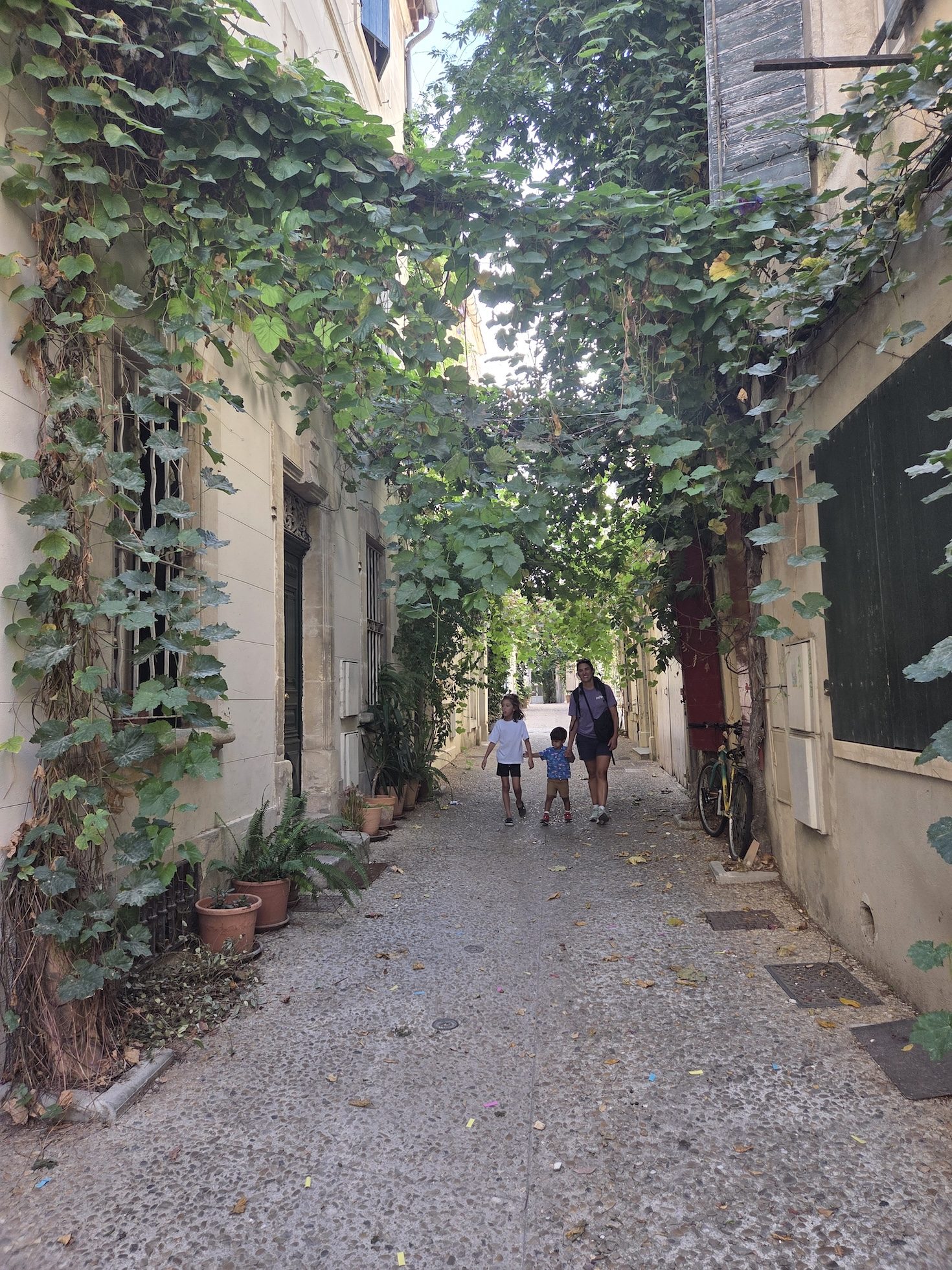A narrow gravel alley in Arles under a canopy of ivy and vines, Remi and Arlo walking ahead with Alissa