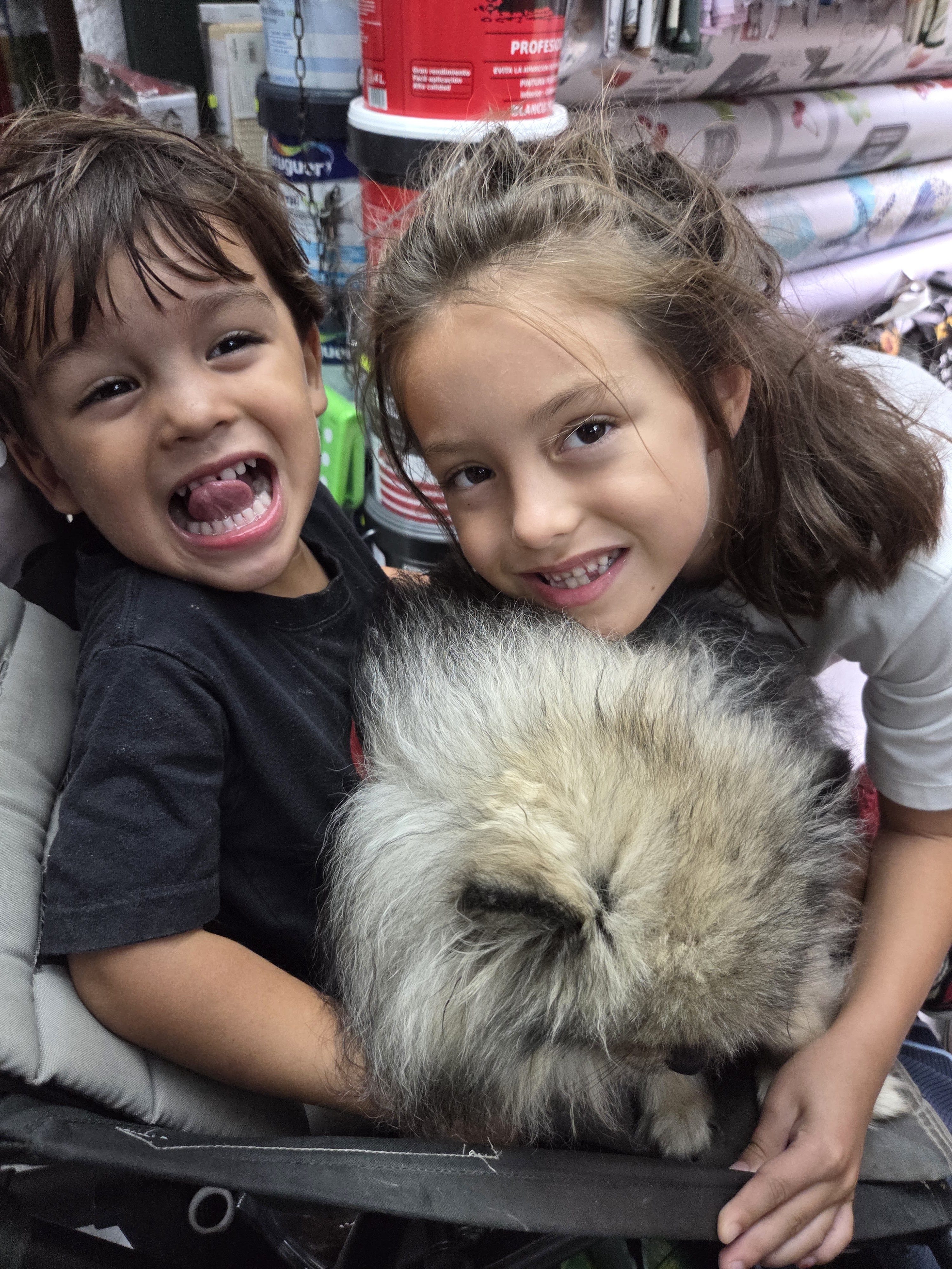 Arlo and Remi grinning and hugging a fluffy dog in the seat of a stroller
