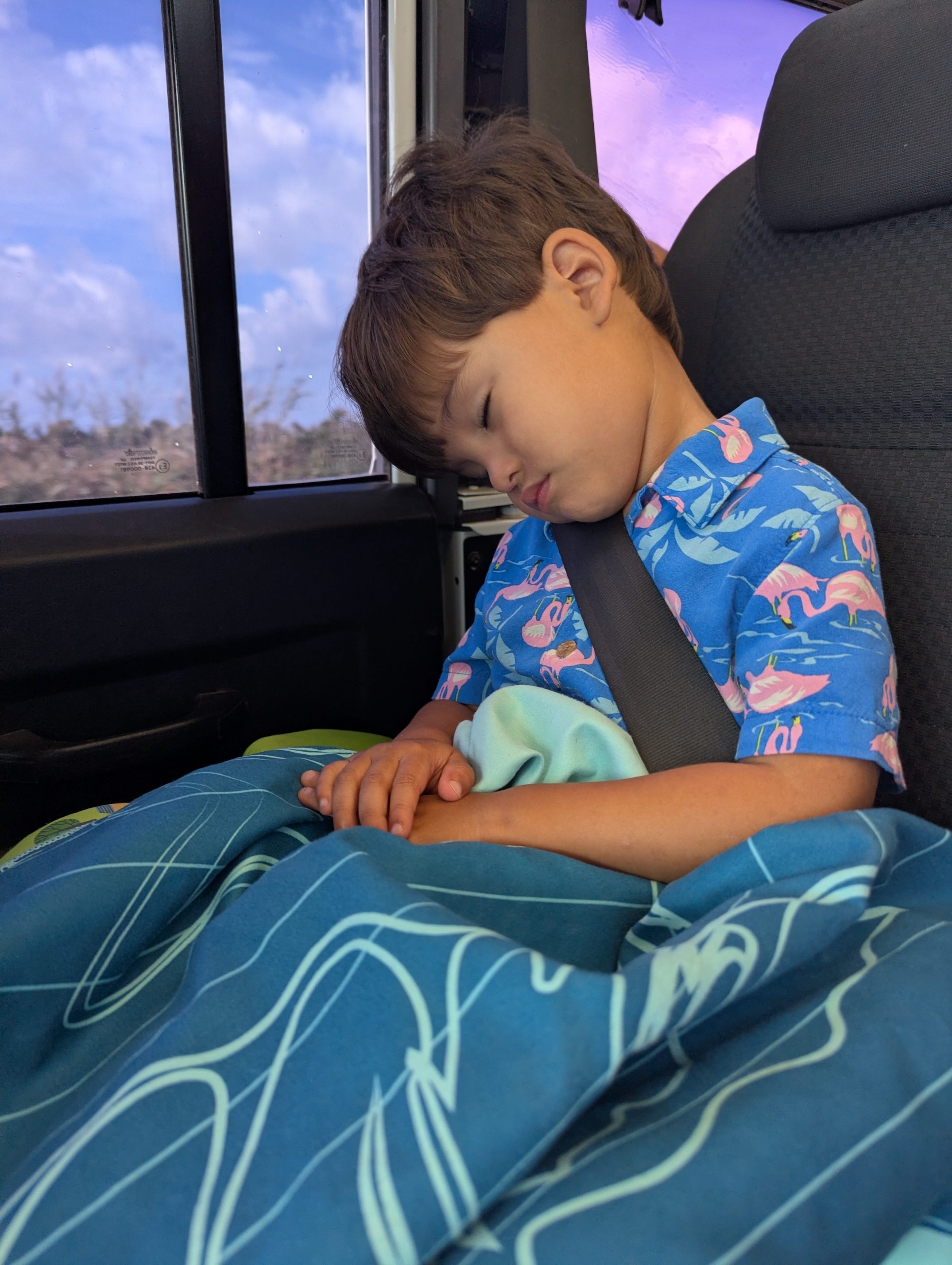 Arlo fast asleep in his seatbelt in the jeep, wrapped in a blue blanket and wearing a flamingo-print shirt