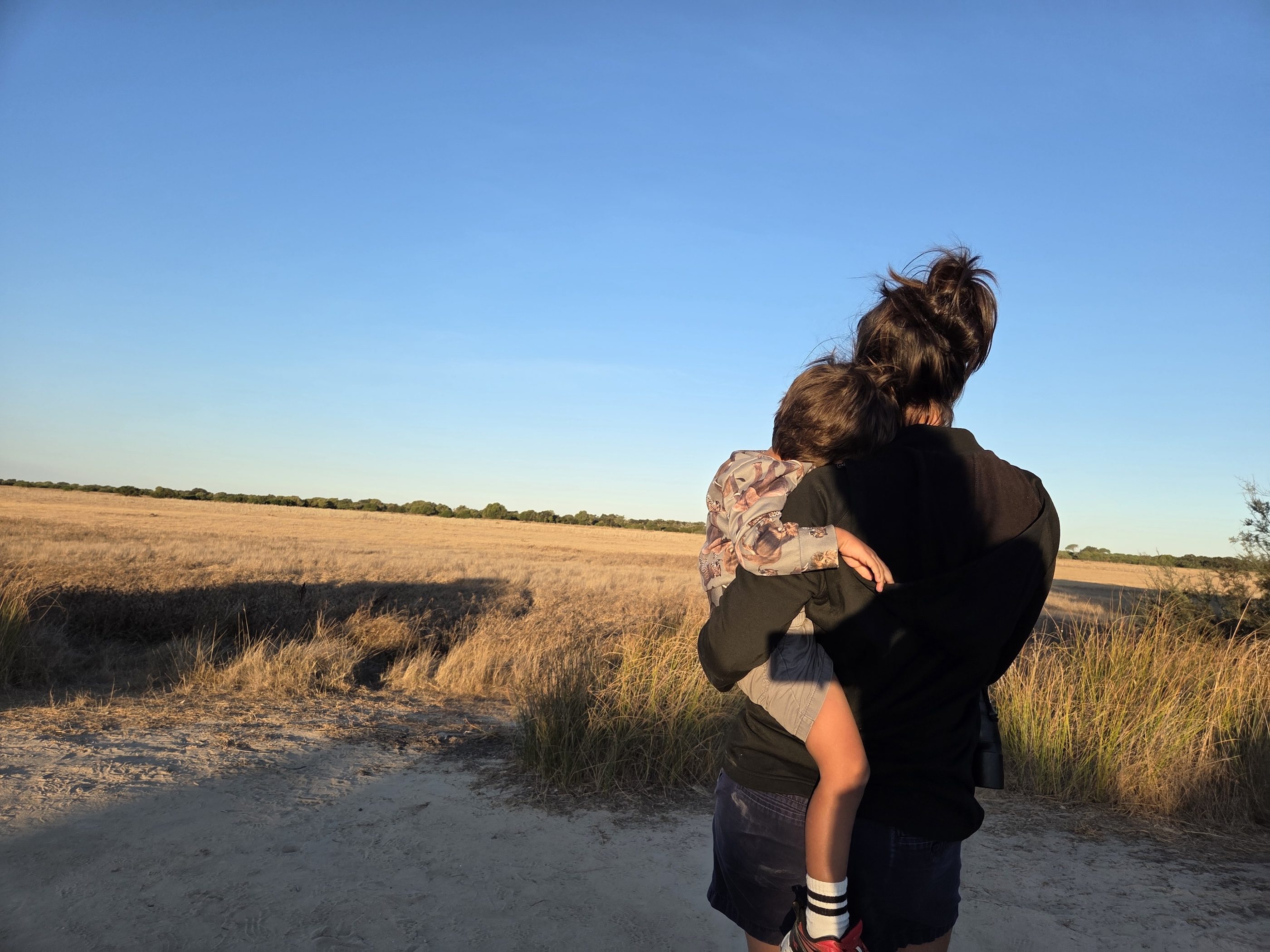 A wide stretch of dry golden marsh grass under a clear blue sky, with a parent in the foreground carrying Arlo