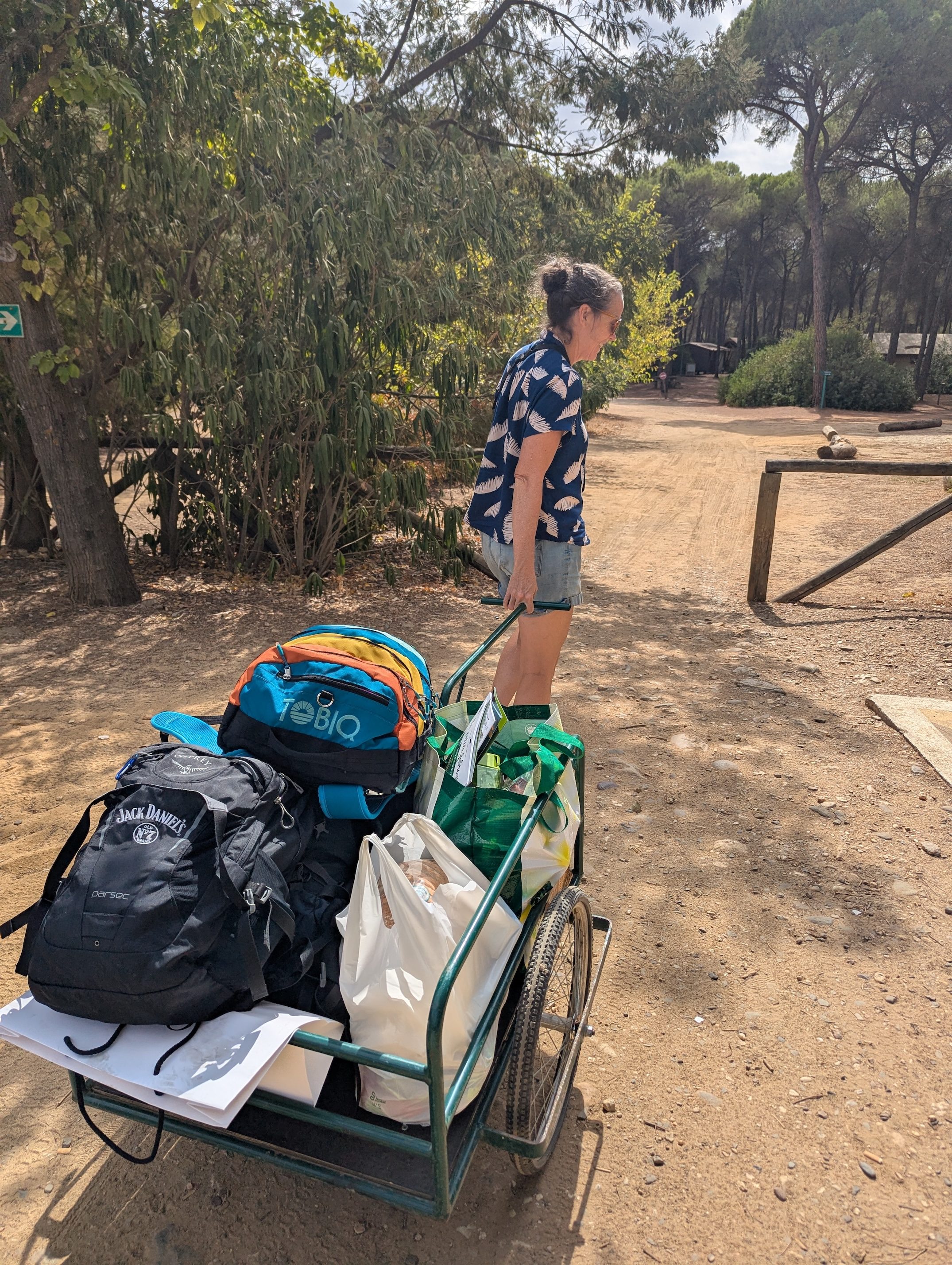 A parent pulling a green wheeled cart piled with backpacks and grocery bags down a sandy path through the pine trees toward the tents