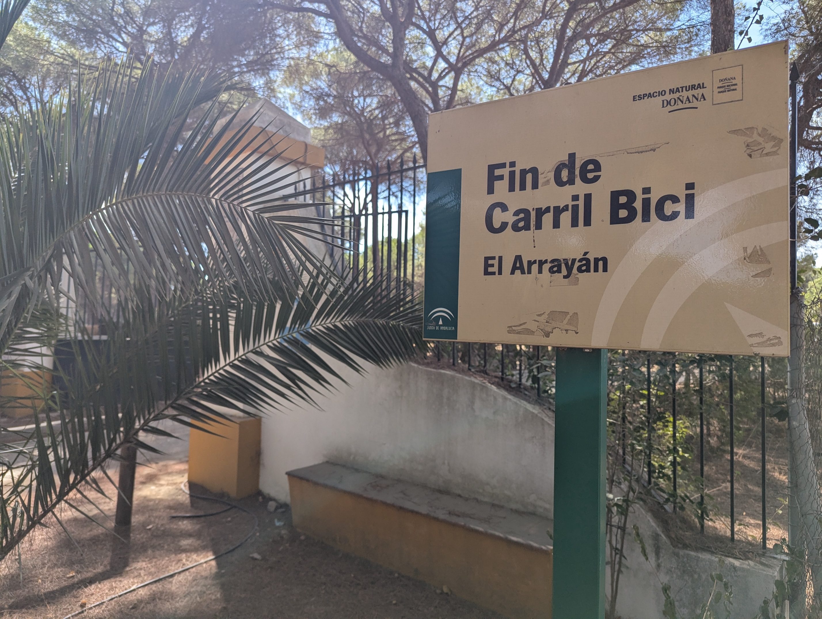 A tan Espacio Natural Doñana sign reading Fin de Carril Bici, El Arrayán, beside a palm tree and a low wall