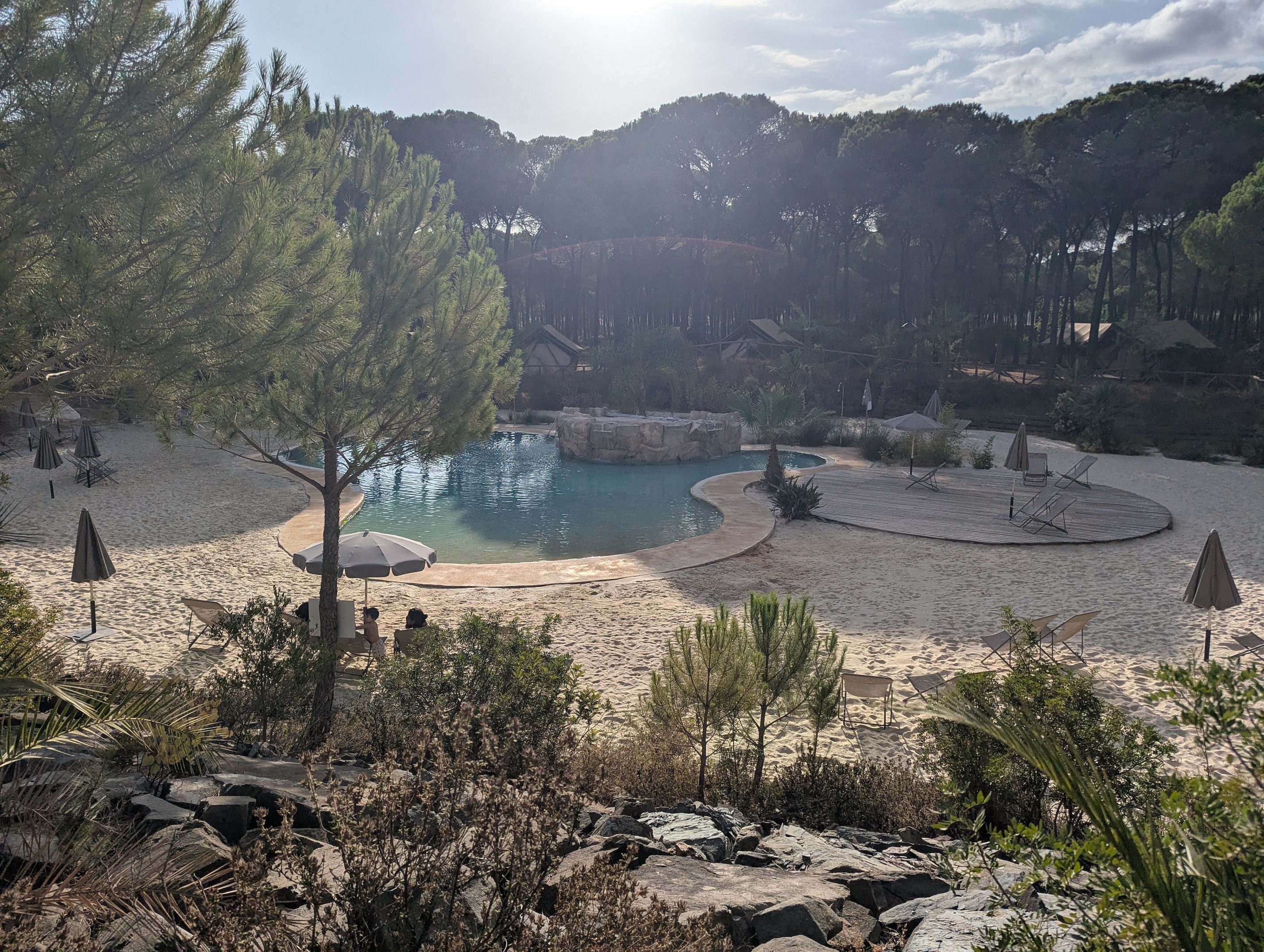 The Huttopia Doñana pool seen through pine trees, a curved blue pool with a rock feature, surrounded by pale beach sand, umbrellas and lounge chairs