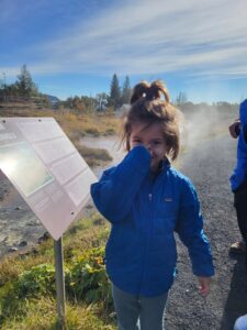 Geyser at Geothermal Park in Hveragerði - Family Itinerary in Iceland