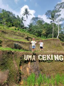 Ubud Day Trip - Kid Friendly Bali Itinerary