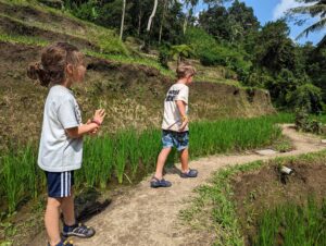 Ubud Day Trip - Kid Friendly Bali Itinerary