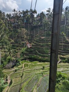 Ubud Day Trip - Kid Friendly Bali Itinerary