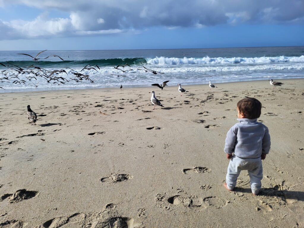 Baby on the beach with seagulls - best travel routes for familes with kids livebold.travel
