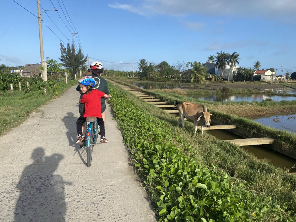 Kid on back of bike in Hoi An rice fields