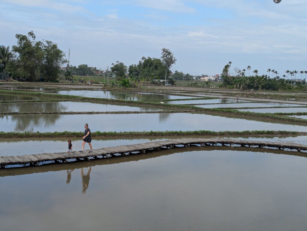 View from Chillax Eatery and Hangout hoi an
